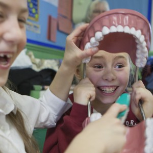 A group of dental students are visiting Ford Primary School to demonstrate oral hygiene to the pupils.